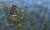 Age-Empires-III-Dynasties-9UB-00009